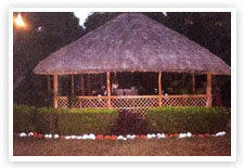 Jungle Retreat