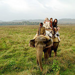 Elephant Safari in Corbett