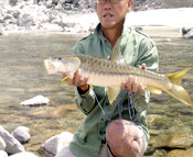 corbett