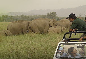 Corbett National Park