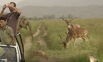 Corbett National Park