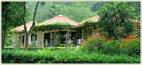 Hotels & Resorts In Corbett