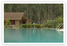 Jim&rsquo;s Jungle Retreat