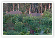 Jim&rsquo;s Jungle Retreat