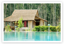 Jim&rsquo;s Jungle Retreat