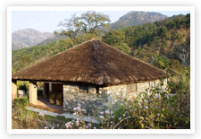 Riverine Woods Resort, Corbett