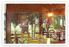 Camp Riverwild