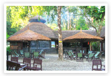Tiger Camp Jungle Lodge