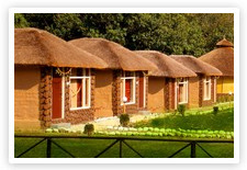 The Jungle Paradise Retreat