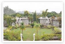 Wild Crest