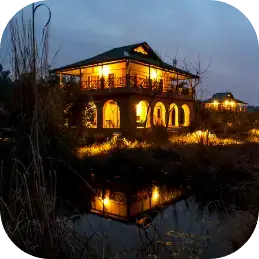 Jim's Jungle Retrea sr    style=