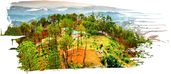 Ranikhet Hill Station