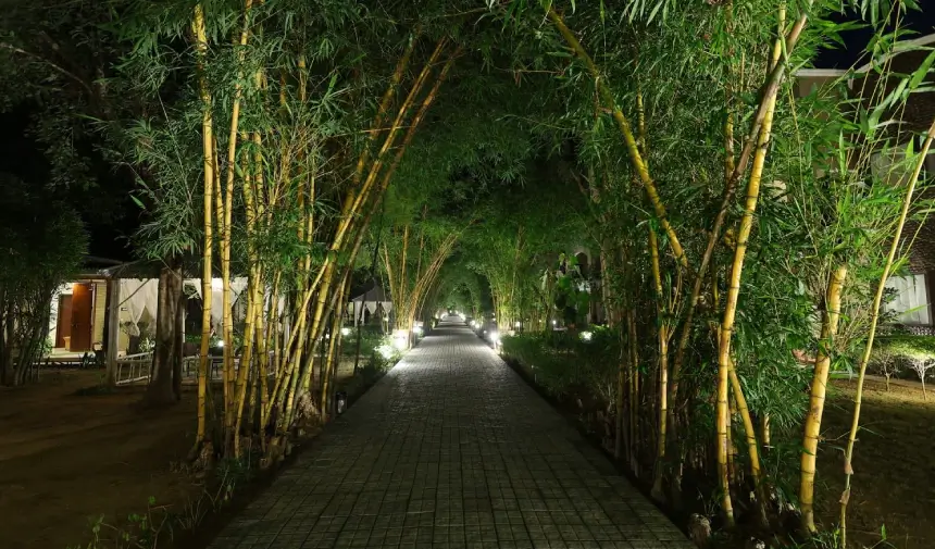 Corbett Tusker Trail