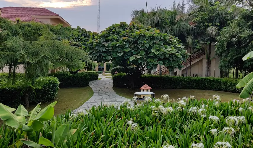 resort de coracao