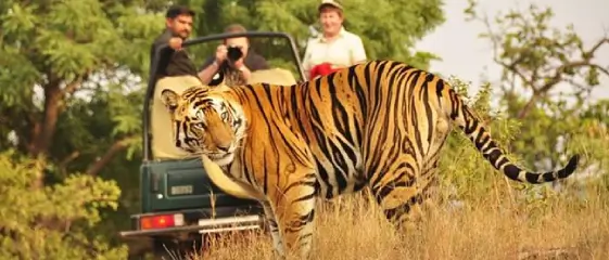 Corbett-national-park