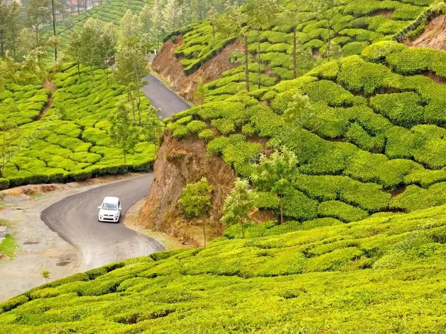 Corbett-national-park