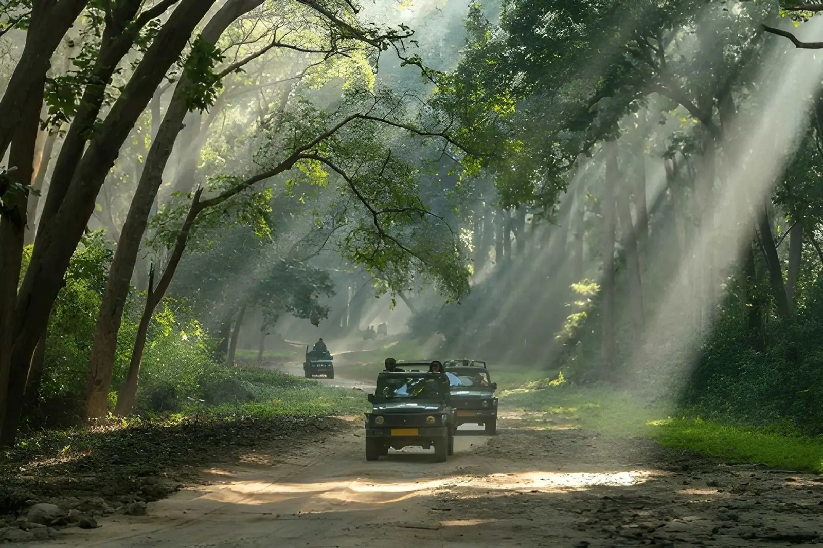 Top Adventure Activities in Jim Corbett: Safaris, River Rafting & Outdoor Experiences