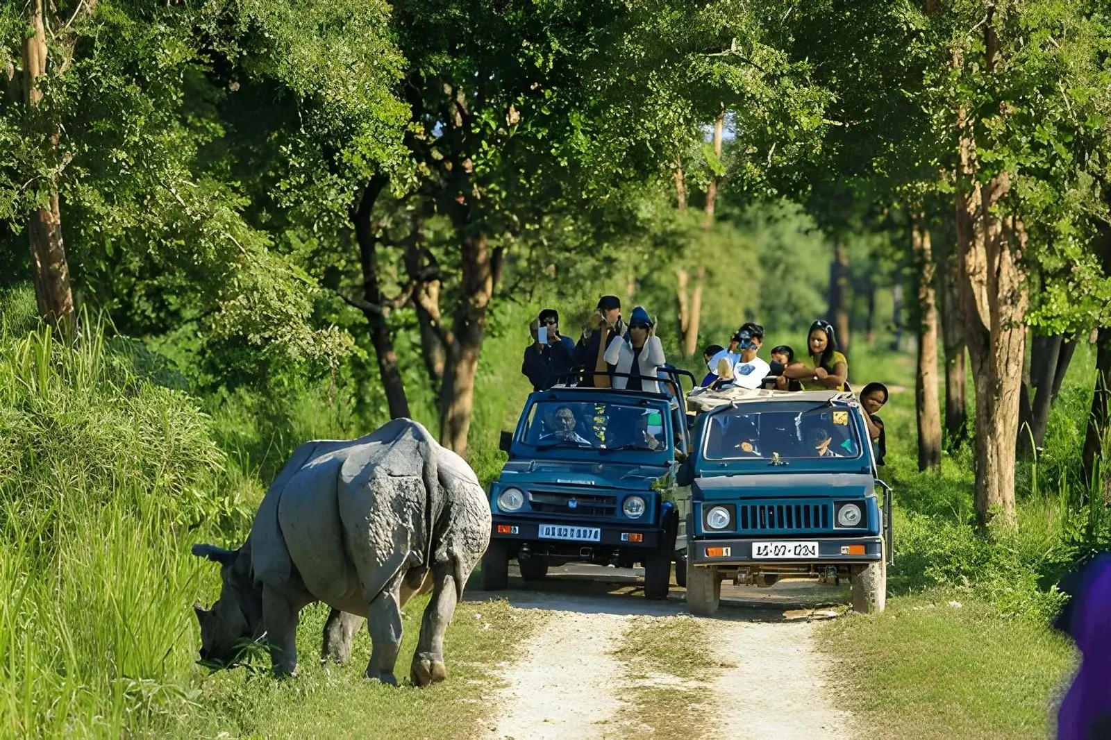Kaziranga National Park – Best for Unique Species & Wetland Photography