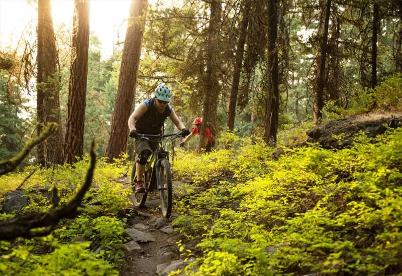 Mountain Biking Through Forest Trails