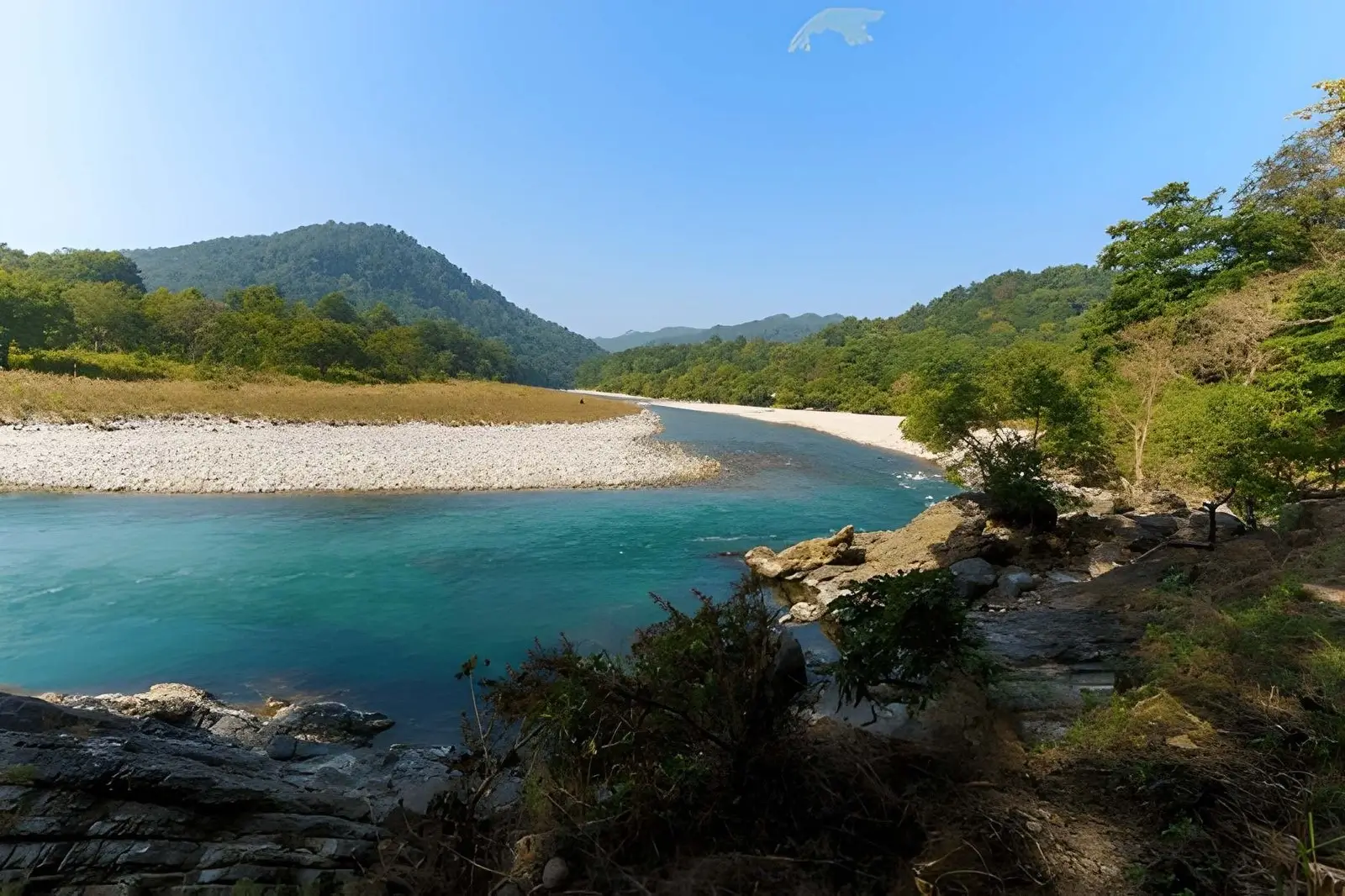 Powerful Life Lessons Humans Can Learn from Wildlife (Inspired by Nature & National Parks)