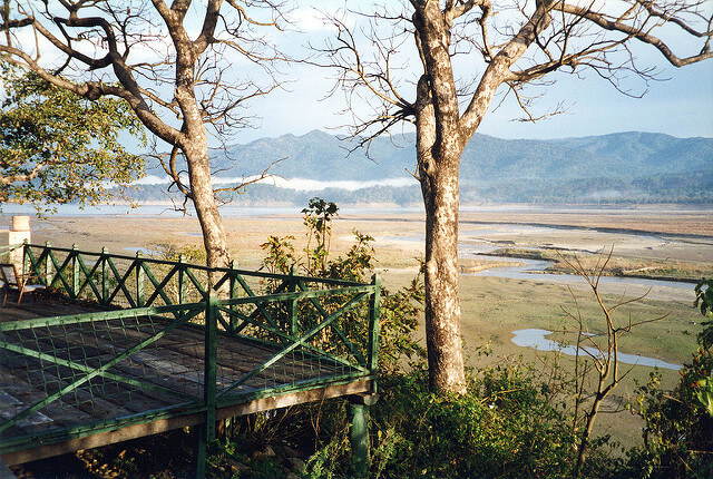 Corbett National Park