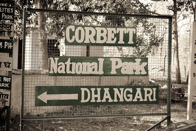 Corbett National Park