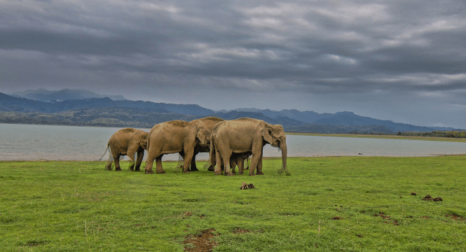  Corbett National Park