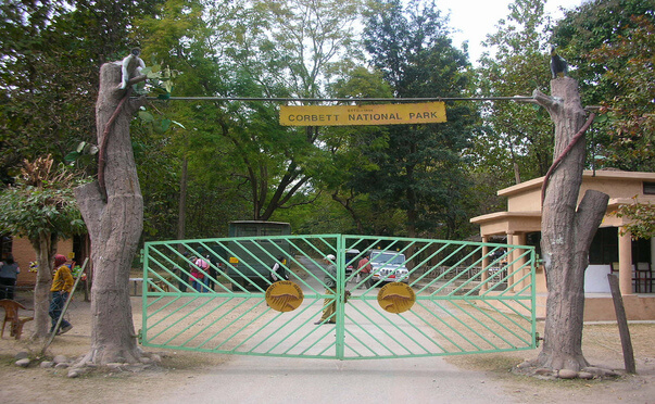 Corbett National Park