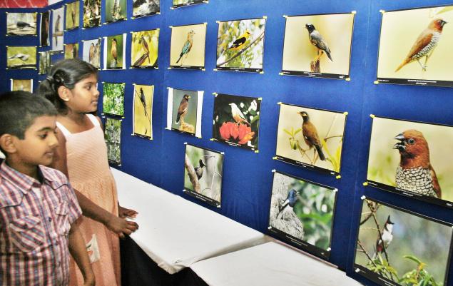 Photographs on Display for Wildlife Conservation