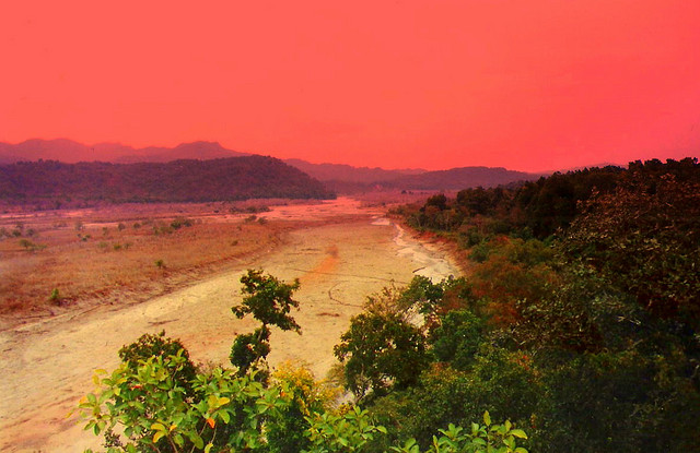 Corbett National Park