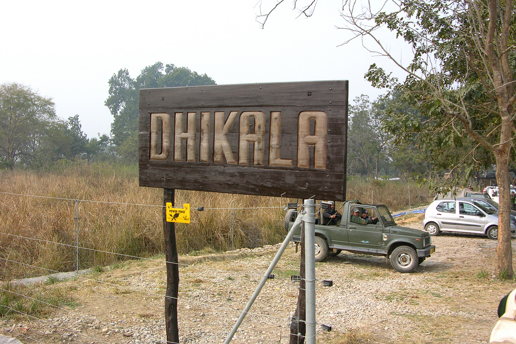 Dhikala Forest