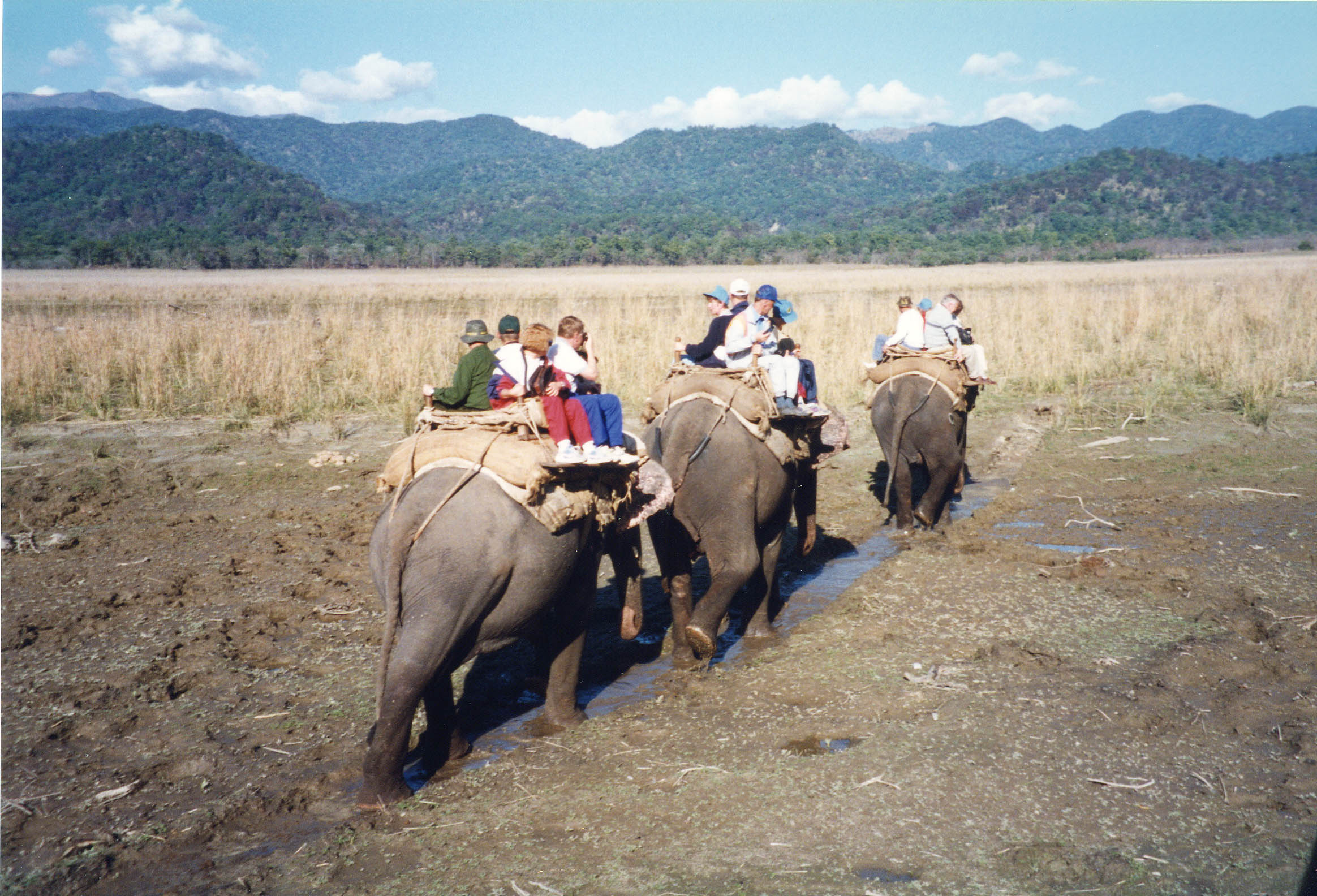 jim corbett elephant safari