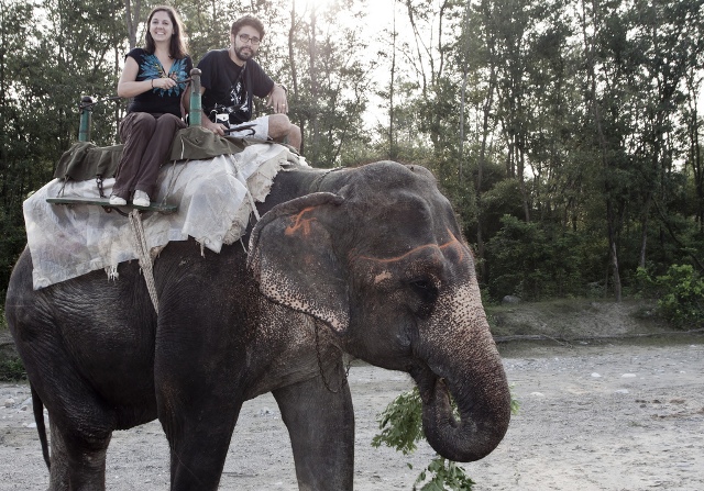 Corbett Elephant Safari