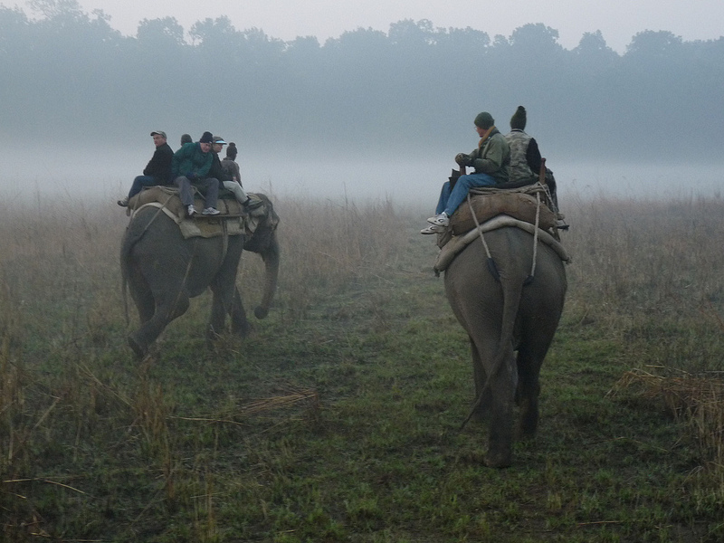 Corbett Elephant Safari