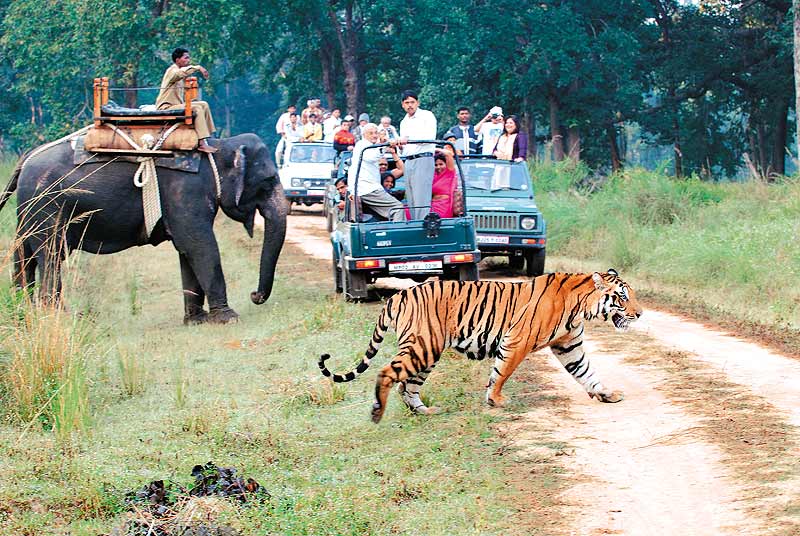 india-wildlife-tourism