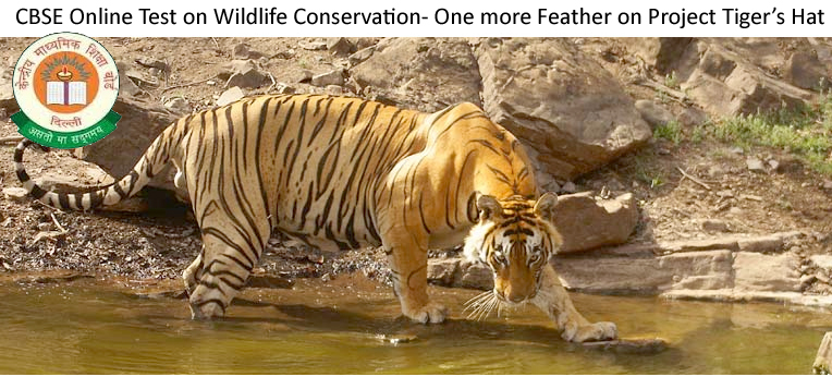 CBS-Tiger-Conservation-Test.