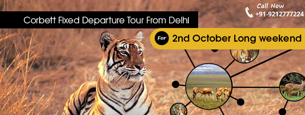 Corbett National Park Fixed Departure Tour