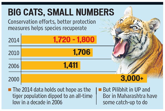 Bengal Tiger Population Chart