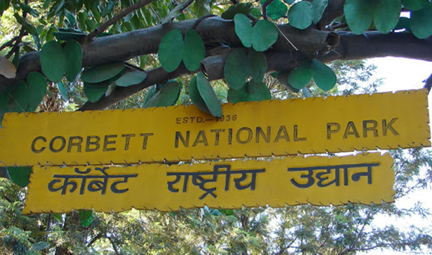 corbett national park