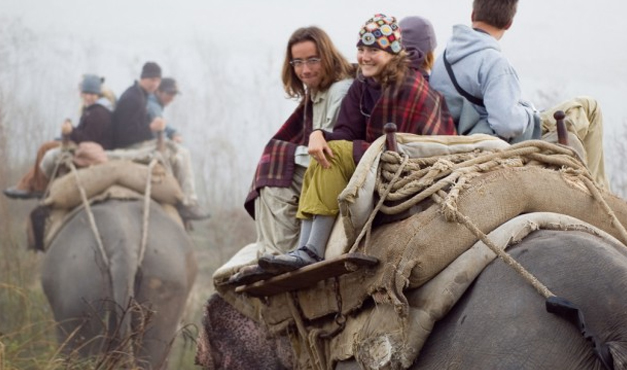 elephant safari in corbett