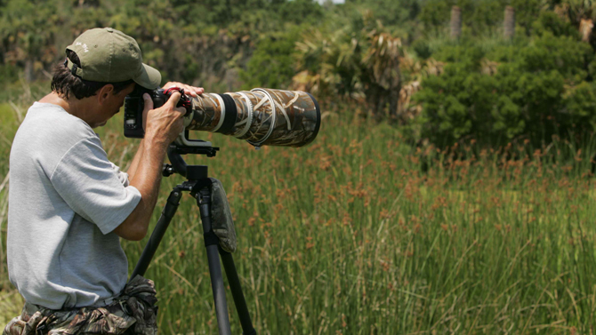 Wildlife Photography