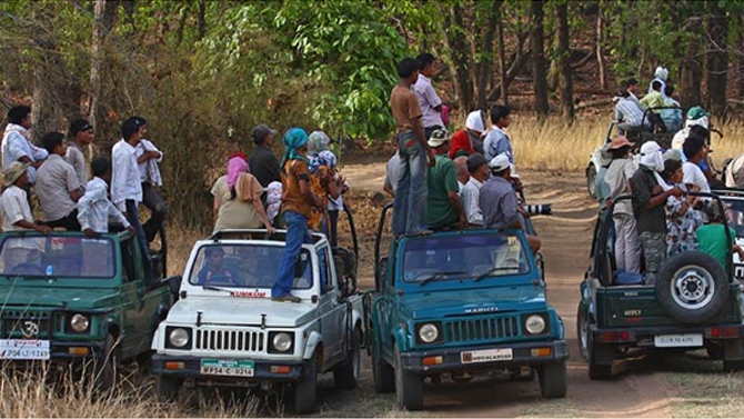 Bandhavgarh National Park