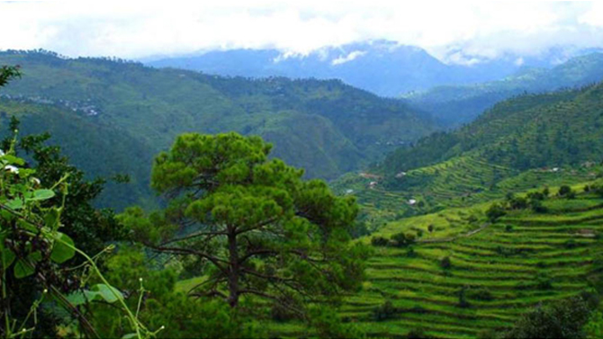 Ranikhet