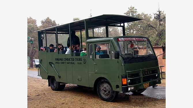 Canter Safari in corbett