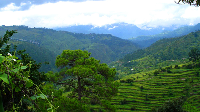 Ranikhet