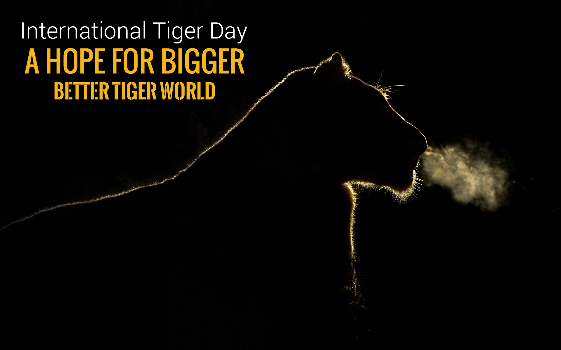 International Tiger Day