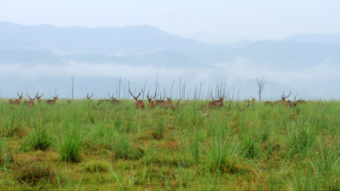 corbett in monsoon season