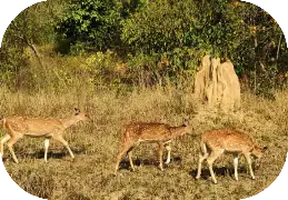 Corbett Weekend Tour