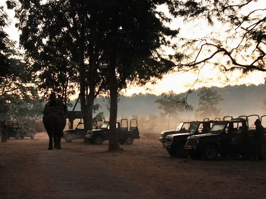 Dhikala Forest Lodge