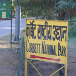 Corbett National Park